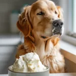 Delight Your Pup with this Perfect Homemade Dog Frosting Recipe