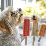 Easy Dog Pops - 3 Flavors To Treat Your Pup This Summer!