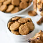 Easy Peanut Butter Pumpkin Dog Treats Homemade & Healthy