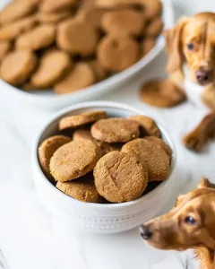 Easy Peanut Butter Pumpkin Dog Treats Homemade & Healthy